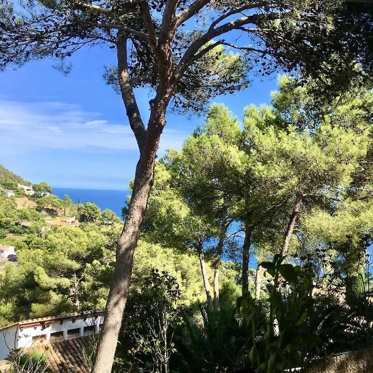 Mediterranean Dream Begur Hiszpania